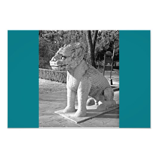 ミンサムズドラゴンB&W フォトプリント (正面)