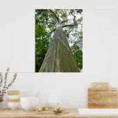 ミンダナオガムツリー ポスター (キッチン)