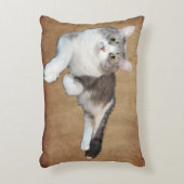 ミンディ枕 アクセントクッション (正面(垂直))