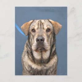 ミンディ ポストカード