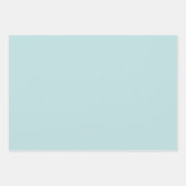 ミントとホワイトレースのバラフローラ ラッピングペーパーシート (正面2)