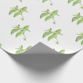 ミントのハーブ植物の緑の庭 ラッピングペーパー (角)