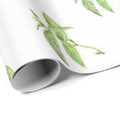 ミントのハーブ植物の緑の庭 ラッピングペーパー (ロールコーナー)