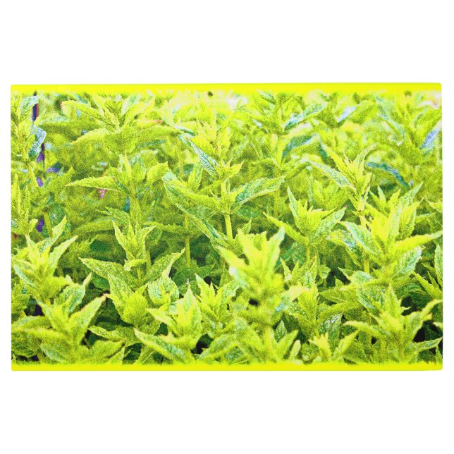 "ミントの植物"かわいい写真。買今 メタルプリント (正面)