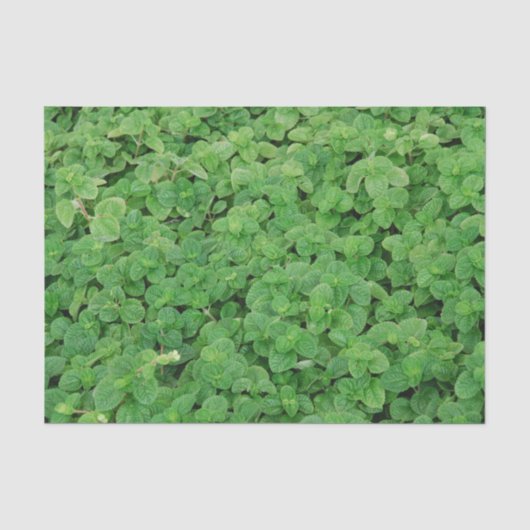 ミントの葉 薄葉紙 (正面)