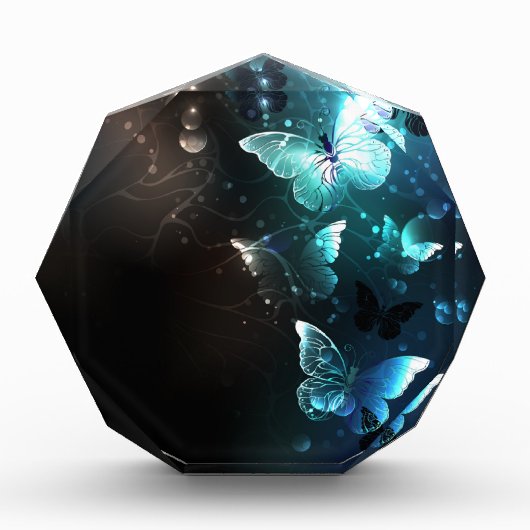 ミントナイトチョウ フォトブロック (正面)