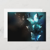 ミントナイトチョウ ポストカード (正面/裏面)