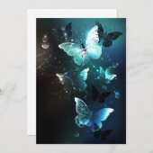 ミントナイトチョウ 案内状 (正面/裏面)