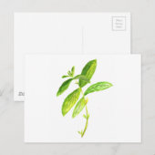 ミントハーブミントウオーターカラーミントプリント ポストカード (正面/裏面)