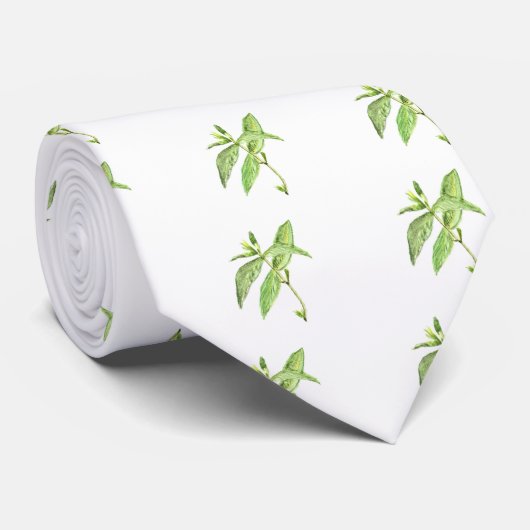ミントハーブ ネクタイ (ロール)
