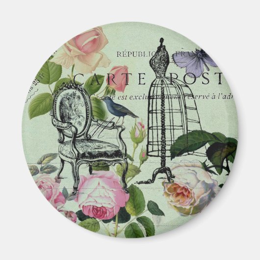 ミントモダンヴィンテージフランスのバラバタフライ マグネット (正面)