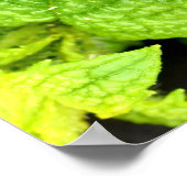 ミントリーフポスター ポスター (角)