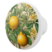 ミントンズレモンビクトリアンの日誌イエローキッチン セラミックノブ (右)