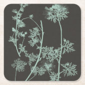 ミント及び木炭自然勉強IV スクエアペーパーコースター (正面)