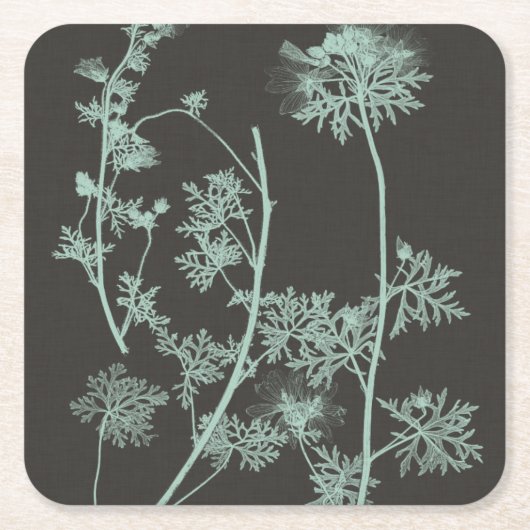 ミント及び木炭自然勉強IV スクエアペーパーコースター (正面)