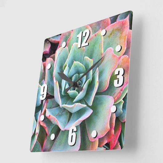 ミント緑色のサボテンの多肉性のスタイリッシュ写モダン真 スクエア壁時計 (傾斜)
