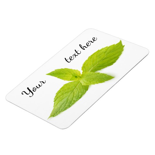 ミント葉 マグネット (左側)