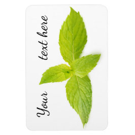 ミント葉 マグネット