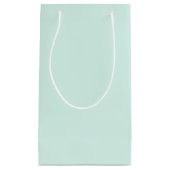 ミント・クラウド スモールペーパーバッグ (正面)