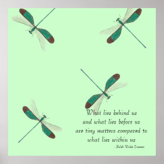 ミント・ドラゴンフライ我々の背後にある ポスター