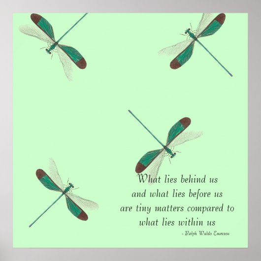 ミント・ドラゴンフライ我々の背後にある ポスター (正面)