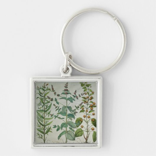 ミント: ハッカのcrispa キーホルダー (正面)