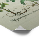 ミント：メンタクリスパホテル ポスター (角)