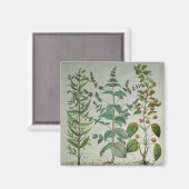 ミント：メンタクリスパホテル マグネット (正面/裏面)