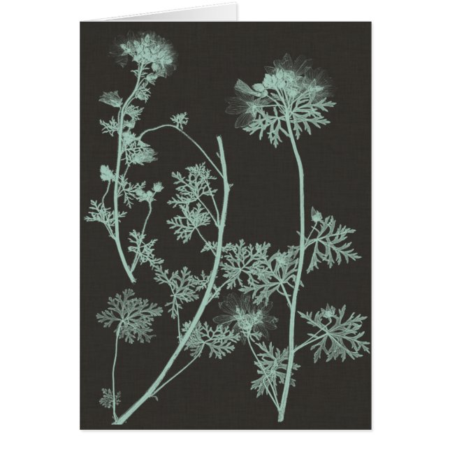 ミント&木炭自然勉強IV (正面)