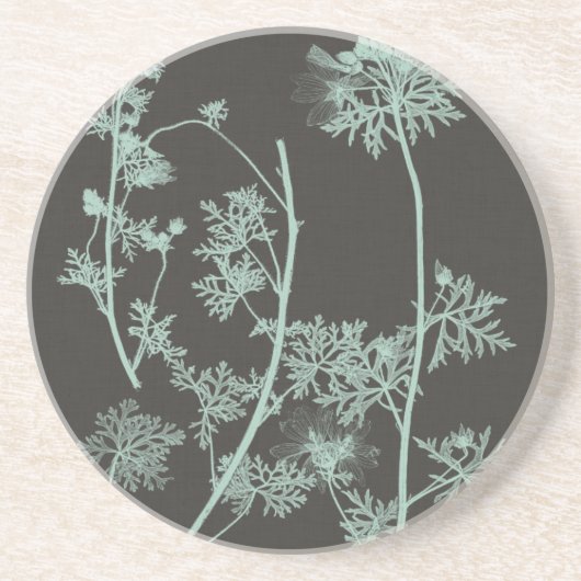 ミント&木炭自然勉強IV コースター (正面)