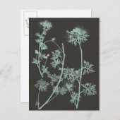 ミント&木炭自然勉強IV ポストカード (正面/裏面)