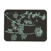 ミント&木炭自然勉強IV マグネット (横)