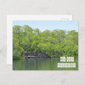 ミンドロフィリピンのアポ礁 ポストカード (正面/裏面)