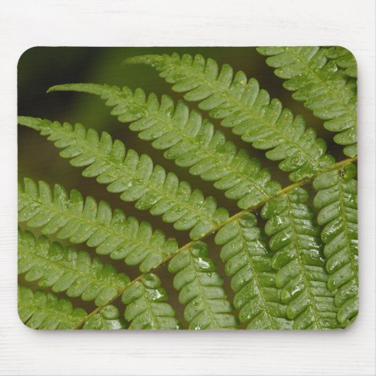 ミンド雲の詳細のシダ。 マウスパッド (正面)