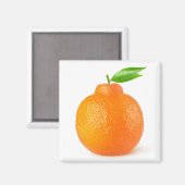 ミンネオラタンジェロ柑橘類の果実 マグネット (正面/裏面)