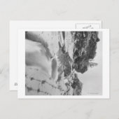 ミンネカタ滝ニアホット春写真 ポストカード (正面/裏面)