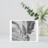 ミンネカタ滝ニアホット春写真 ポストカード (スタンド正面)