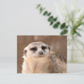 ミーカートはがき ポストカード (スタンド正面)