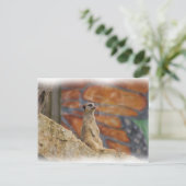 ミーカートはがき ポストカード (スタンド正面)