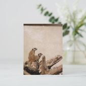 ミーキャット監視台 ポストカード (スタンド正面)