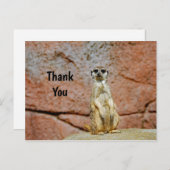 ミーキャット野生動物写真ありがとう ポストカード (正面/裏面)