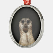 ミーキャット20151010 メタルオーナメント (左)