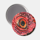 ミートアイ マグネット (正面/裏面)