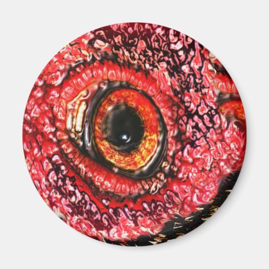 ミートアイ マグネット (正面)