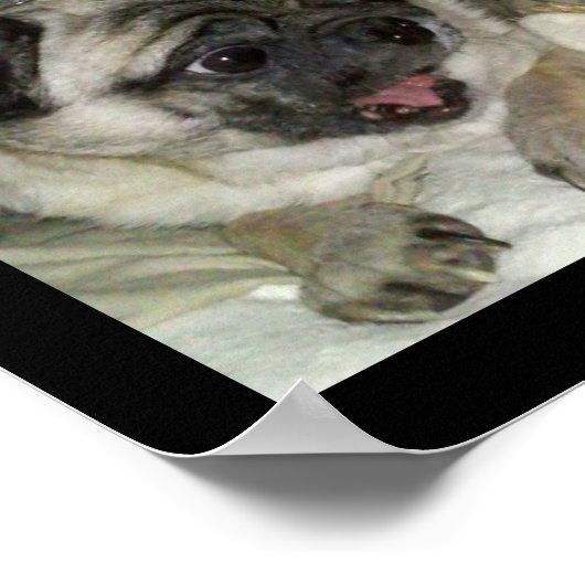 ミートボール ポスター (角)