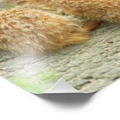 ミールカートの家族 – 写真 フォトプリント            (角)