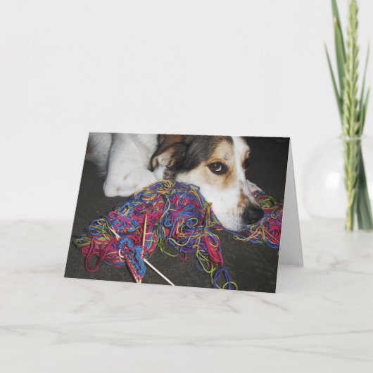 ミーロブランク カード (正面)