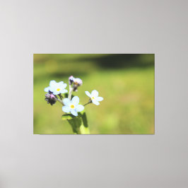 ミー忘れノットブルーとグリーンプリント キャンバスプリント