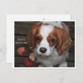 ミ離れ ーラスが ポストカード (正面/裏面)