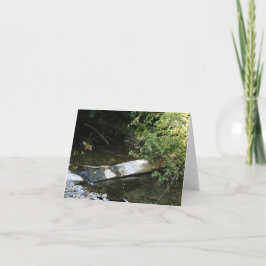 ムア空白の・ウッズ サンキューカード